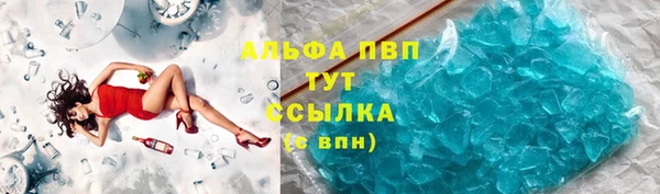крисы Лабытнанги