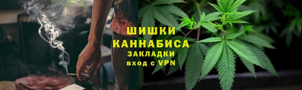 ГАЛЛЮЦИНОГЕННЫЕ ГРИБЫ Балабаново