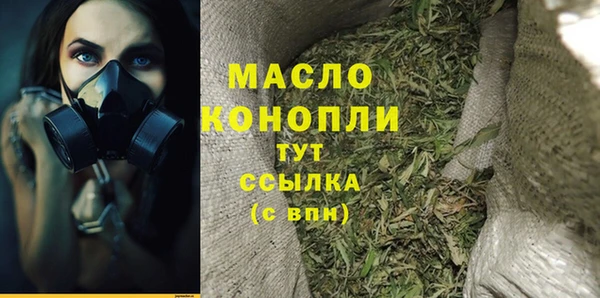 мет Ладушкин