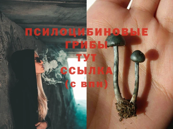 крисы Лабытнанги