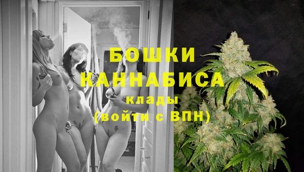 крисы Лабытнанги