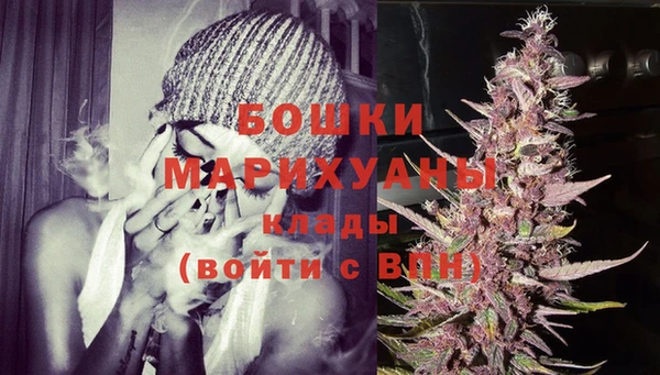 мет Ладушкин