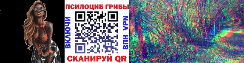 Псилоцибиновые грибы Psilocybine cubensis  магазин  наркотиков  Рязань 