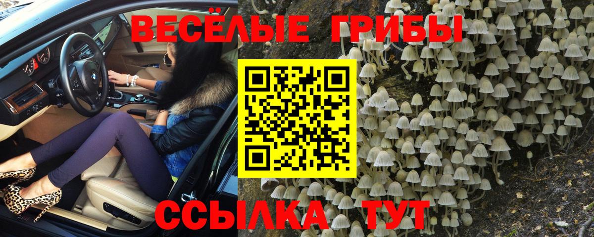 Псилоцибиновые грибы Psilocybine cubensis Рязань