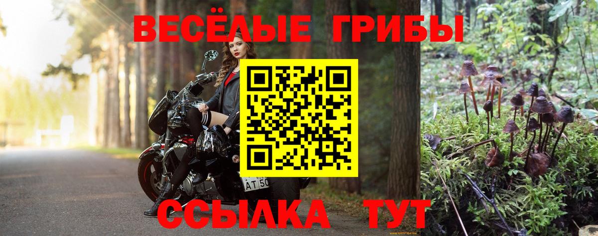 Псилоцибиновые грибы мухоморы Рязань