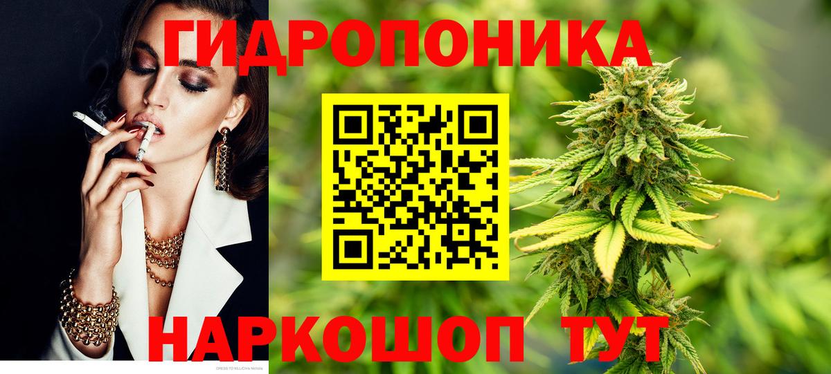 Бошки марихуана сатива  Марихуана план  Рязань  Марихуана семена  Вход с VPN 